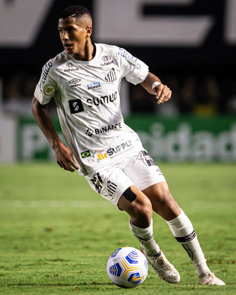 坛提供了一 坛提供了一