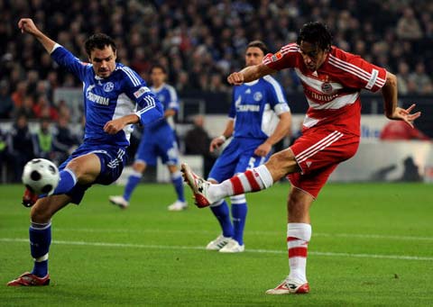 网球名将费 网球名将费