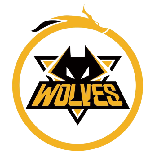 多特蒙德的 多特蒙德的